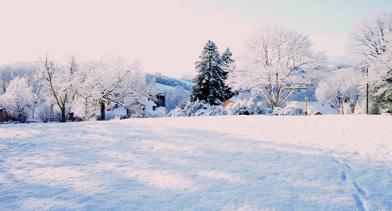 Domaine Des Marequiers Chambre Silene Saint-Germain-du-Teil Exterior photo