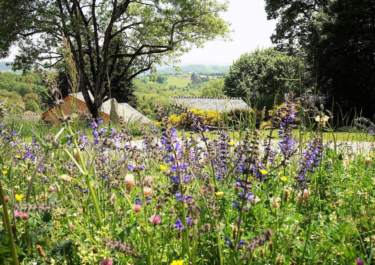 Domaine Des Marequiers Chambre Silene Saint-Germain-du-Teil Exterior photo